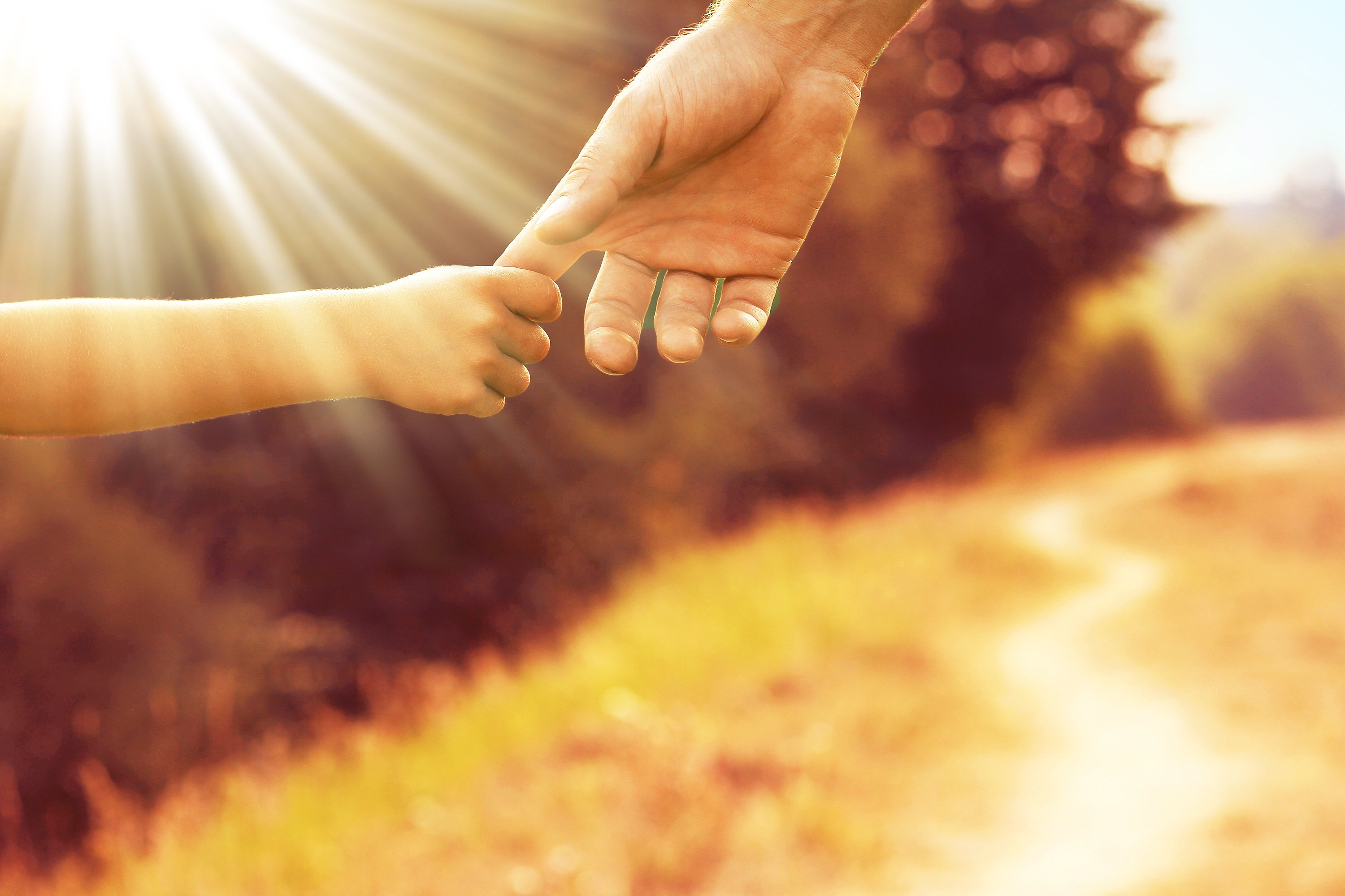 mano de padre y de niño tocándose dados de la mano en el campo en la puesta de sol